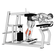 Lever Donkey Calf Raise exercise animation