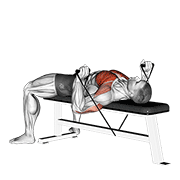 Band Bench Press form demonstration - targeted for Pectorals Chest workouts
