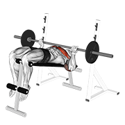 Barbell Reverse Grip Decline Bench Press exercise animation