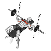 Barbell Wide Reverse Grip Bench Press exercise animation