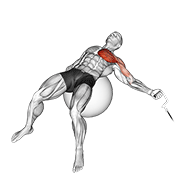 Cable One Arm Fly On Exercise Ball exercise animation