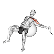 Cable One Arm Incline Fly On Exercise Ball form demonstration - targeted for Pectorals Chest workouts