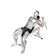 Cable One Arm Incline Press exercise animation