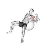 Cable One Arm Incline Press On Exercise Ball form demonstration - targeted for Pectorals Chest workouts
