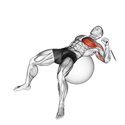 Cable One Arm Press On Exercise Ball form demonstration - targeted for Pectorals Chest workouts