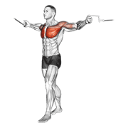 Cable Standing Up Straight Crossovers exercise animation