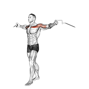 Cable Upper Chest Crossovers form demonstration - targeted for Pectorals Chest workouts