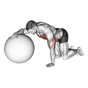 Chest Stretch With Exercise Ball form demonstration - targeted for Pectorals Chest workouts