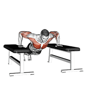 Drop Push Up exercise animation