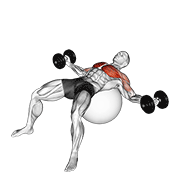 Dumbbell Fly On Exercise Ball exercise animation