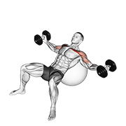 Dumbbell Incline Fly On Exercise Ball form demonstration - targeted for Pectorals Chest workouts