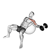 Dumbbell Incline One Arm Fly On Exercise Ball form demonstration - targeted for Pectorals Chest workouts