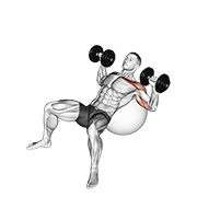 Dumbbell Incline Press On Exercise Ball form demonstration - targeted for Pectorals Chest workouts