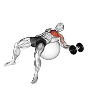 Dumbbell One Arm Chest Fly On Exercise Ball form demonstration - targeted for Pectorals Chest workouts