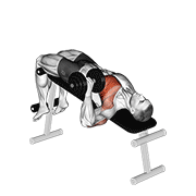 Dumbbell One Arm Decline Chest Press exercise animation