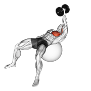 Dumbbell One Arm Fly On Exercise Ball form demonstration - targeted for Pectorals Chest workouts