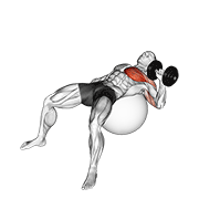 Dumbbell One Arm Press On Exercise Ball exercise animation