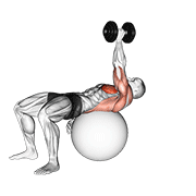 Dumbbell One Arm Pullover On Exercise Ball exercise animation
