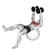 Dumbbell One Leg Fly On Exercise Ball form demonstration - targeted for Pectorals Chest workouts