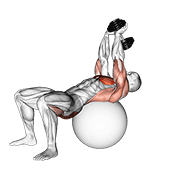 Dumbbell Pullover Hip Extension On Exercise Ball exercise animation