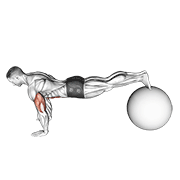 Exercise Ball Pike Push Up exercise animation