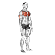 Isometric Chest Squeeze form demonstration - targeted for Pectorals Chest workouts