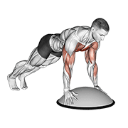 Push Up On Bosu Ball exercise animation