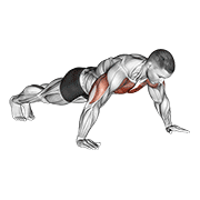Wide Hand Push Up form demonstration - targeted for Pectorals Chest workouts