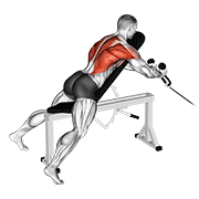 Cable Rope Extension Incline Bench Row exercise animation