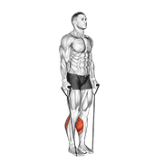 Band Two Legs Calf Raise - (band Under Both Legs) V. 2 exercise animation