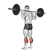 Barbell Floor Calf Raise exercise animation