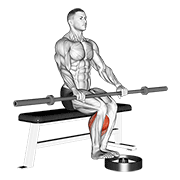 Barbell Seated Calf Raise form demonstration - targeted for Calves Lower Legs workouts