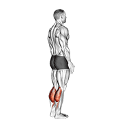 Bodyweight Standing Calf Raise exercise animation