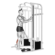 Cable Standing One Leg Calf Raise exercise animation