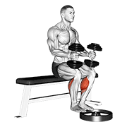 Dumbbell Seated Calf Raise exercise animation