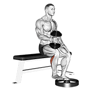 Dumbbell Seated One Leg Calf Raise - Hammer Grip exercise animation