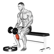 Dumbbell Seated One Leg Calf Raise - Palm Up exercise animation