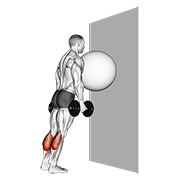 Exercise Ball On The Wall Calf Raise exercise animation