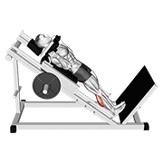 Hack Calf Raise form demonstration - targeted for Calves Lower Legs workouts