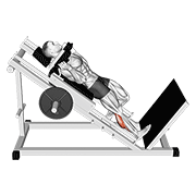 Hack One Leg Calf Raise exercise animation