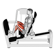 Lever Seated Squat Calf Raise On Leg Press Machine exercise animation