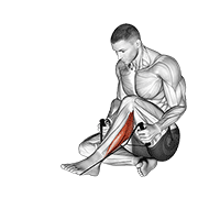 Peroneals Stretch exercise animation