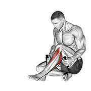 Posterior Tibialis Stretch form demonstration - targeted for Calves Lower Legs workouts