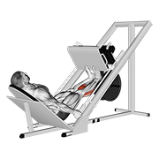 Sled Calf Press On Leg Press form demonstration - targeted for Calves Lower Legs workouts