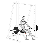 Smith Seated One Leg Calf Raise form demonstration - targeted for Calves Lower Legs workouts