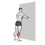 Standing Calves form demonstration - targeted for Calves Lower Legs workouts