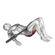 Barbell Glute Bridge exercise animation