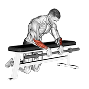 Barbell Palms Down Wrist Curl Over A Bench form demonstration - targeted for Forearms Lower Arms workouts