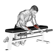 Barbell Palms Up Wrist Curl Over A Bench form demonstration - targeted for Forearms Lower Arms workouts