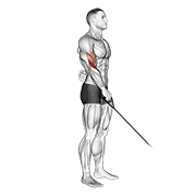 Cable Reverse One Arm Curl exercise animation